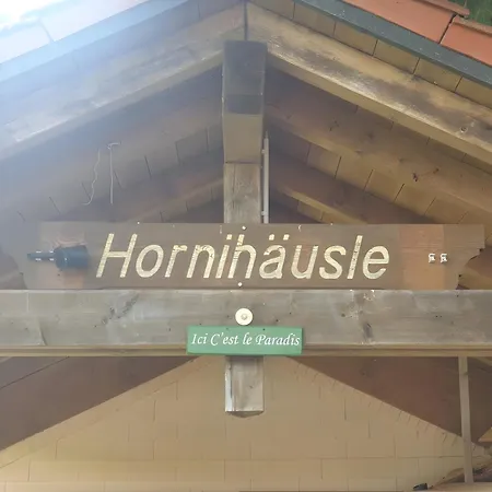 Hornihaeusle Guest house *