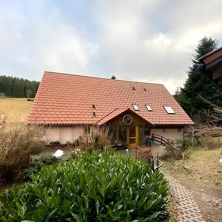Hornihaeusle Guest house Schoenwald im Schwarzwald