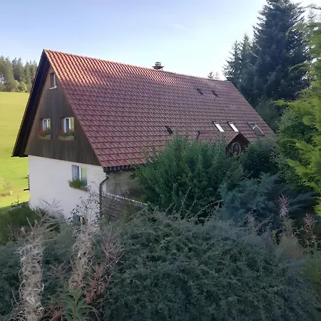 Guest house Hornihaeusle Schoenwald im Schwarzwald