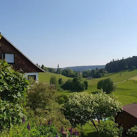 Hornihaeusle * Schoenwald im Schwarzwald