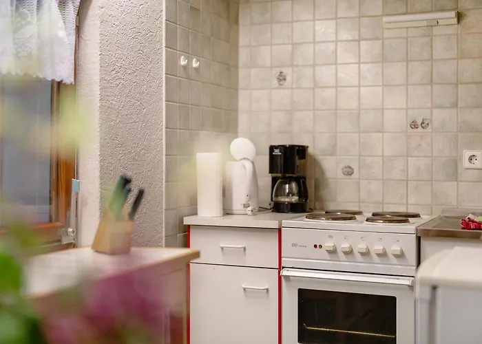 Hornihaeusle Guest house 3*